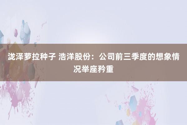 泷泽萝拉种子 浩洋股份：公司前三季度的想象情况举座矜重