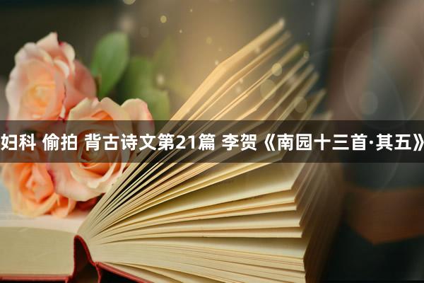 妇科 偷拍 背古诗文第21篇 李贺《南园十三首·其五》