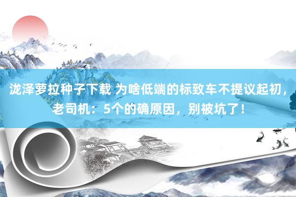 泷泽萝拉种子下载 为啥低端的标致车不提议起初，老司机：5个的确原因，别被坑了！