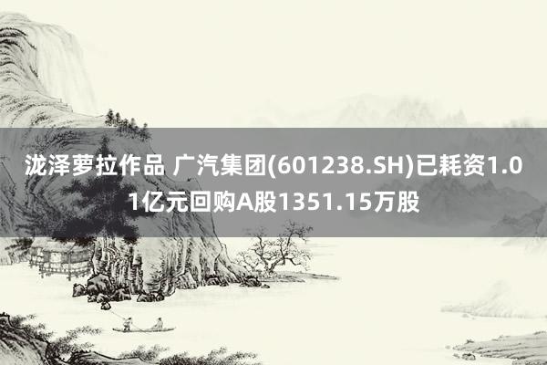 泷泽萝拉作品 广汽集团(601238.SH)已耗资1.01亿元回购A股1351.15万股