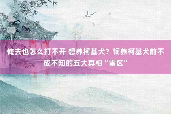 俺去也怎么打不开 想养柯基犬？饲养柯基犬前不成不知的五大真相“雷区”