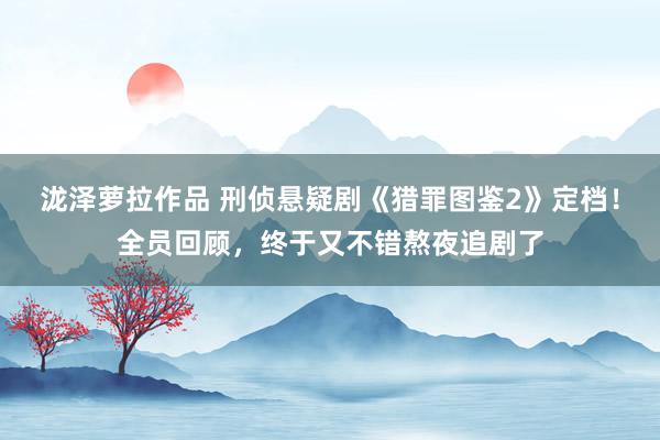 泷泽萝拉作品 刑侦悬疑剧《猎罪图鉴2》定档！全员回顾，终于又不错熬夜追剧了