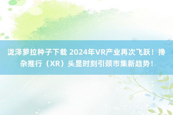 泷泽萝拉种子下载 2024年VR产业再次飞跃！搀杂推行（XR）头显时刻引颈市集新趋势！