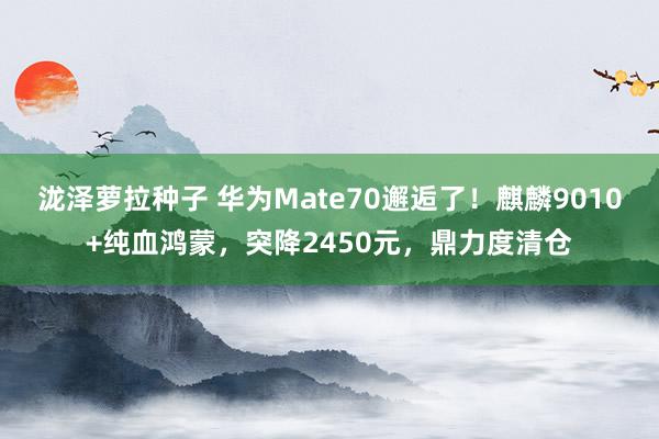 泷泽萝拉种子 华为Mate70邂逅了！麒麟9010+纯血鸿蒙，突降2450元，鼎力度清仓