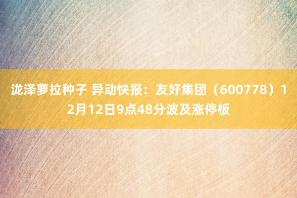 泷泽萝拉种子 异动快报：友好集团（600778）12月12日9点48分波及涨停板