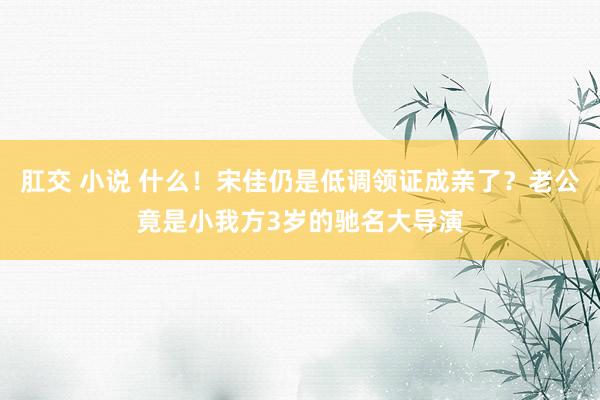 肛交 小说 什么！宋佳仍是低调领证成亲了？老公竟是小我方3岁的驰名大导演