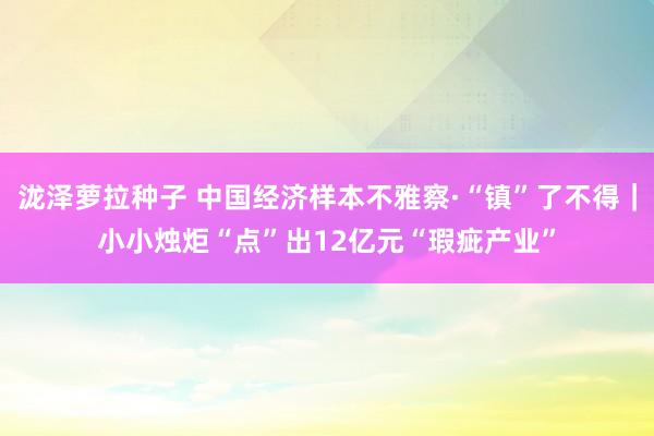 泷泽萝拉种子 中国经济样本不雅察·“镇”了不得｜小小烛炬“点”出12亿元“瑕疵产业”