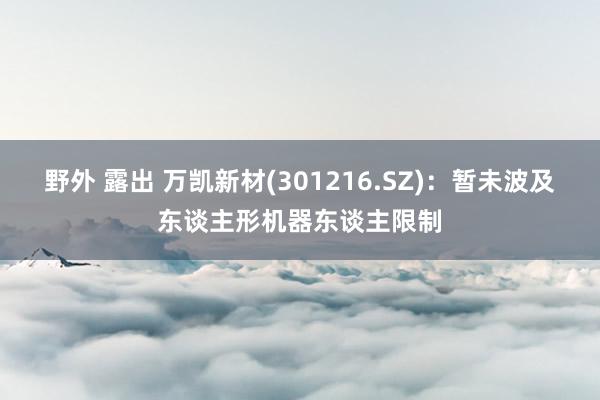 野外 露出 万凯新材(301216.SZ)：暂未波及东谈主形机器东谈主限制