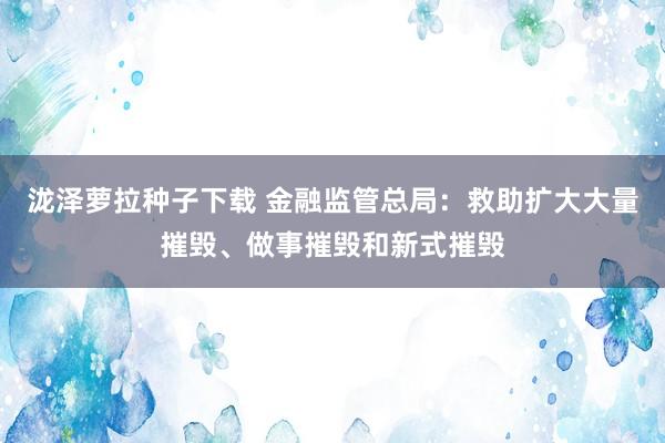 泷泽萝拉种子下载 金融监管总局：救助扩大大量摧毁、做事摧毁和新式摧毁