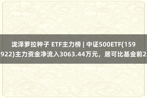 泷泽萝拉种子 ETF主力榜 | 中证500ETF(159922)主力资金净流入3063.44万元，居可比基金前2