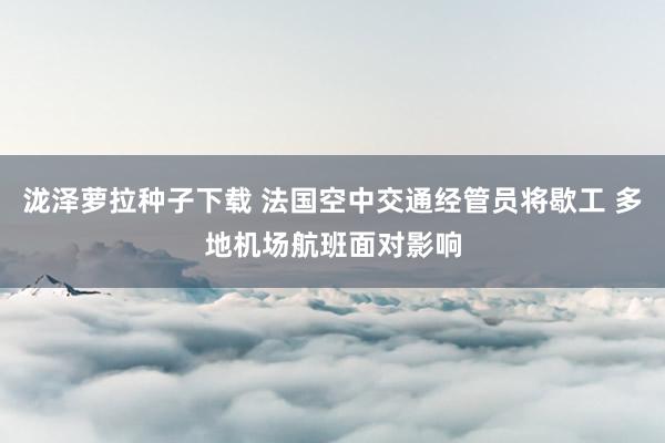 泷泽萝拉种子下载 法国空中交通经管员将歇工 多地机场航班面对影响