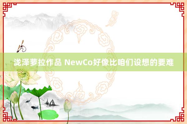 泷泽萝拉作品 NewCo好像比咱们设想的要难