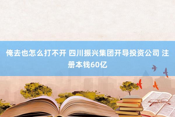 俺去也怎么打不开 四川振兴集团开导投资公司 注册本钱60亿