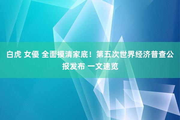 白虎 女優 全面摸清家底！第五次世界经济普查公报发布 一文速览