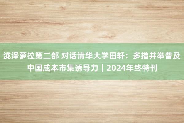 泷泽萝拉第二部 对话清华大学田轩：多措并举普及中国成本市集诱导力｜2024年终特刊