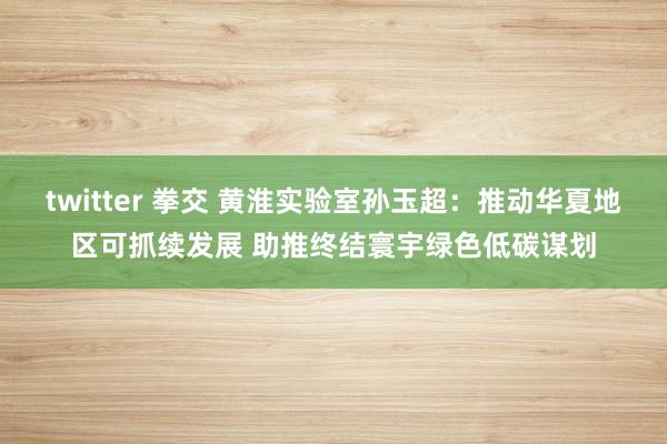 twitter 拳交 黄淮实验室孙玉超：推动华夏地区可抓续发展 助推终结寰宇绿色低碳谋划