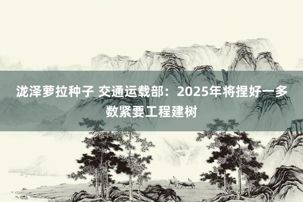 泷泽萝拉种子 交通运载部：2025年将捏好一多数紧要工程建树