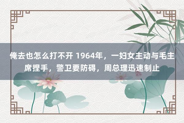 俺去也怎么打不开 1964年，一妇女主动与毛主席捏手，警卫要防碍，周总理迅速制止