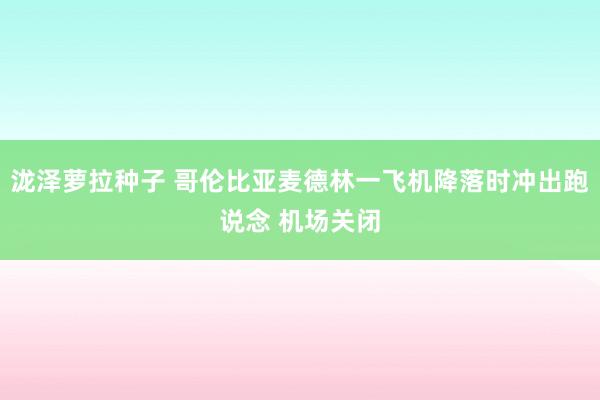 泷泽萝拉种子 哥伦比亚麦德林一飞机降落时冲出跑说念 机场关闭