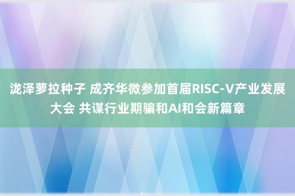 泷泽萝拉种子 成齐华微参加首届RISC-V产业发展大会 共谋行业期骗和AI和会新篇章