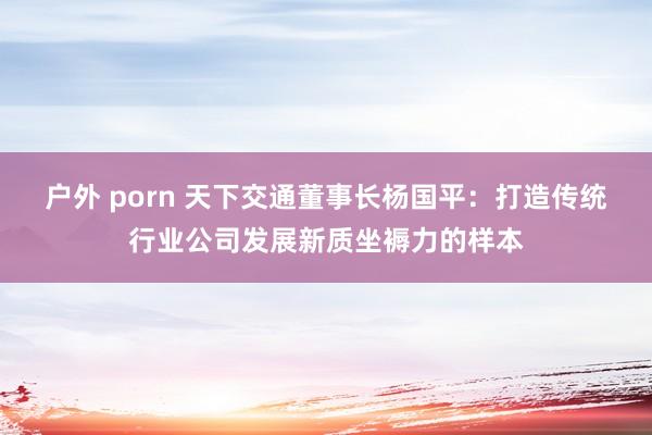 户外 porn 天下交通董事长杨国平：打造传统行业公司发展新质坐褥力的样本