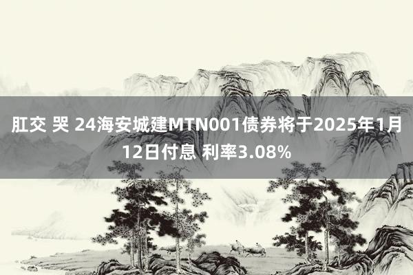 肛交 哭 24海安城建MTN001债券将于2025年1月12日付息 利率3.08%