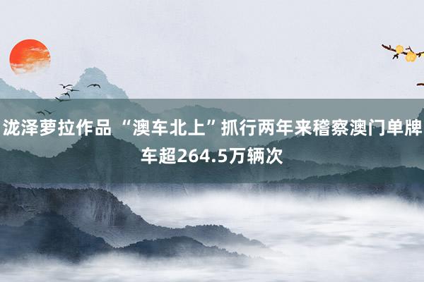 泷泽萝拉作品 “澳车北上”抓行两年来稽察澳门单牌车超264.5万辆次