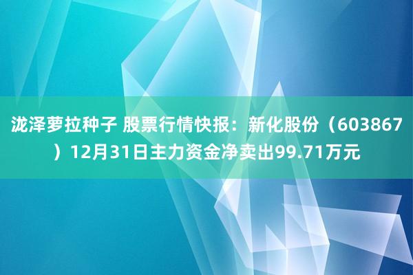 泷泽萝拉种子 股票行情快报：新化股份（603867）12月31日主力资金净卖出99.71万元