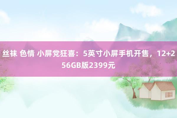 丝袜 色情 小屏党狂喜：5英寸小屏手机开售，12+256GB版2399元