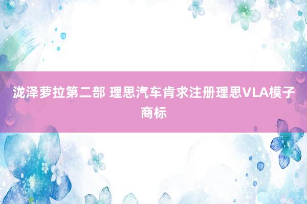 泷泽萝拉第二部 理思汽车肯求注册理思VLA模子商标