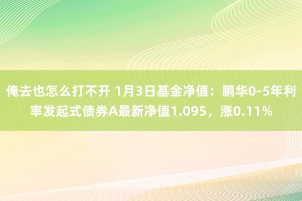 俺去也怎么打不开 1月3日基金净值：鹏华0-5年利率发起式债券A最新净值1.095，涨0.11%