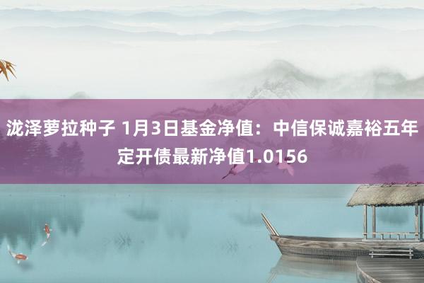 泷泽萝拉种子 1月3日基金净值：中信保诚嘉裕五年定开债最新净值1.0156