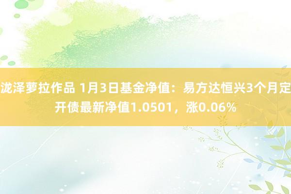 泷泽萝拉作品 1月3日基金净值：易方达恒兴3个月定开债最新净值1.0501，涨0.06%