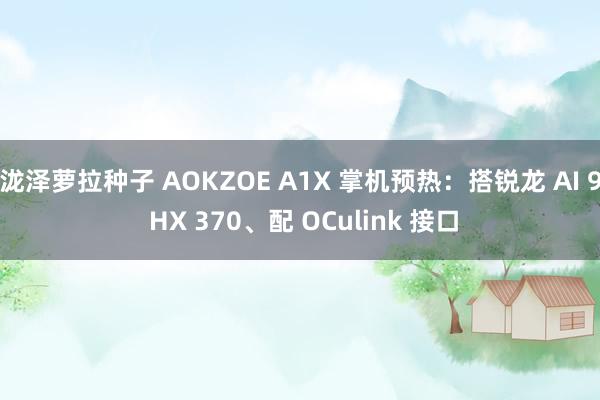 泷泽萝拉种子 AOKZOE A1X 掌机预热：搭锐龙 AI 9 HX 370、配 OCulink 接口