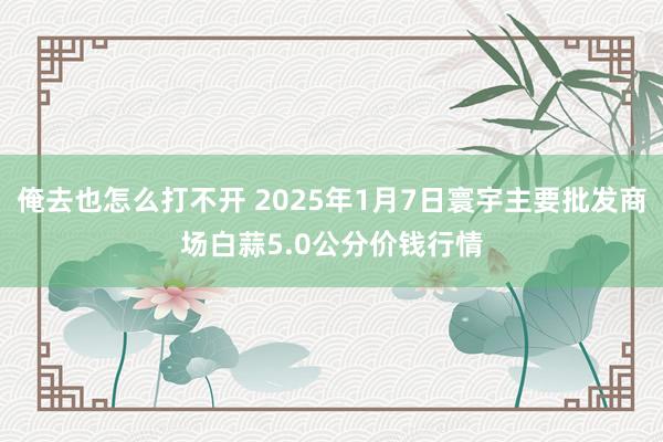 俺去也怎么打不开 2025年1月7日寰宇主要批发商场白蒜5.0公分价钱行情