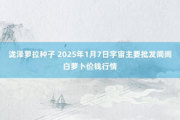 泷泽萝拉种子 2025年1月7日宇宙主要批发阛阓白萝卜价钱行情