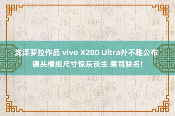 泷泽萝拉作品 vivo X200 Ultra外不雅公布 镜头模组尺寸惊东谈主 蔡司联名!