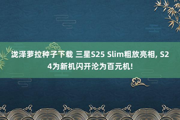 泷泽萝拉种子下载 三星S25 Slim粗放亮相, S24为新机闪开沦为百元机!