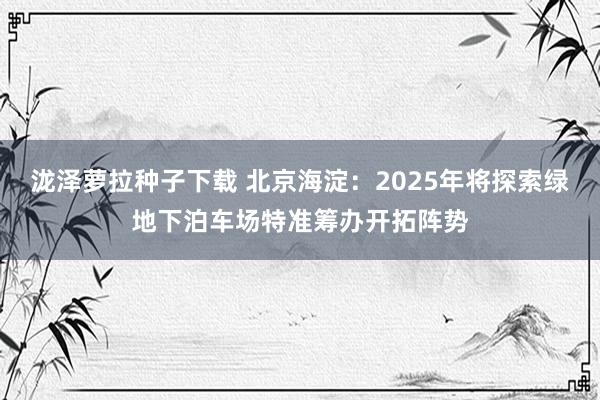 泷泽萝拉种子下载 北京海淀：2025年将探索绿地下泊车场特准筹办开拓阵势