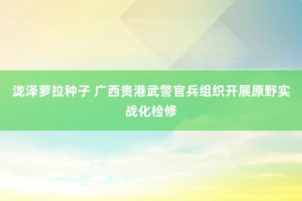 泷泽萝拉种子 广西贵港武警官兵组织开展原野实战化检修