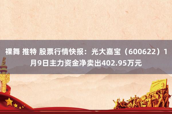 裸舞 推特 股票行情快报：光大嘉宝（600622）1月9日主力资金净卖出402.95万元