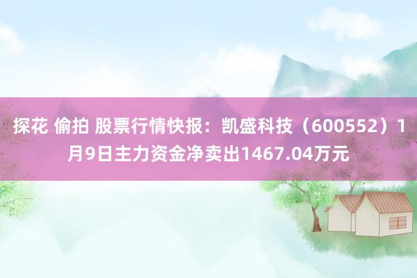 探花 偷拍 股票行情快报：凯盛科技（600552）1月9日主力资金净卖出1467.04万元