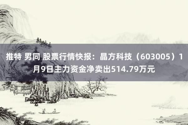 推特 男同 股票行情快报：晶方科技（603005）1月9日主力资金净卖出514.79万元