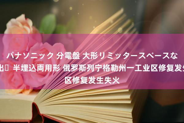 パナソニック 分電盤 大形リミッタースペースなし 露出・半埋込両用形 俄罗斯列宁格勒州一工业区修复发生失火