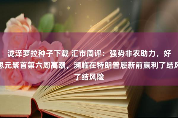 泷泽萝拉种子下载 汇市周评：强势非农助力，好意思元聚首第六周高潮，濒临在特朗普履新前赢利了结风险