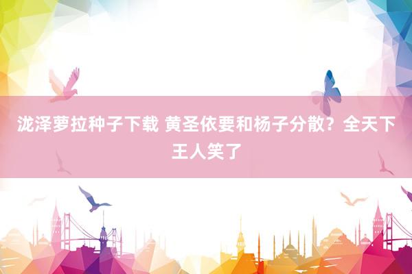 泷泽萝拉种子下载 黄圣依要和杨子分散？全天下王人笑了