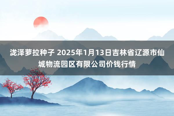 泷泽萝拉种子 2025年1月13日吉林省辽源市仙城物流园区有限公司价钱行情