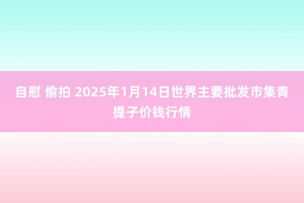 自慰 偷拍 2025年1月14日世界主要批发市集青提子价钱行情