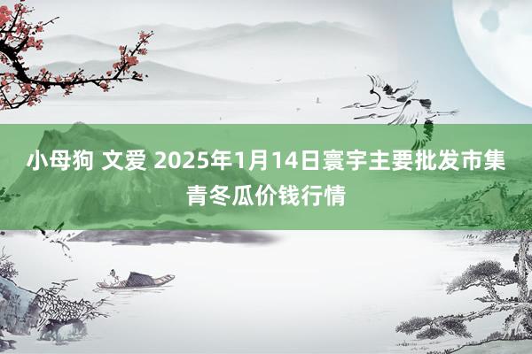 小母狗 文爱 2025年1月14日寰宇主要批发市集青冬瓜价钱行情