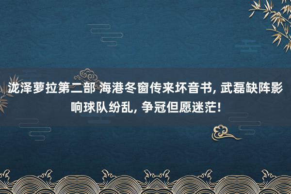 泷泽萝拉第二部 海港冬窗传来坏音书， 武磊缺阵影响球队纷乱， 争冠但愿迷茫!